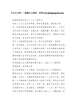 检察院检察长学习二十大心得体会07_1