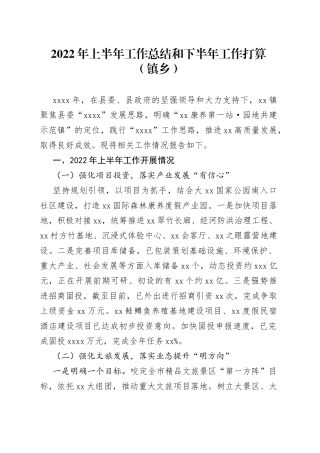 2022年上半年工作总结和下半年工作打算（镇乡）