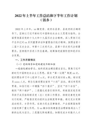 2022年上半年工作总结和下半年工作计划（镇乡）