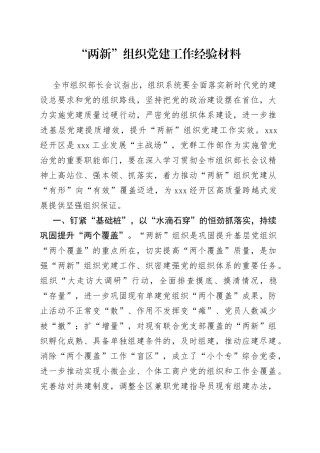 “两新”组织党建工作经验材料