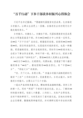 “万千行动”下乡干部谈乡村振兴心得体会
