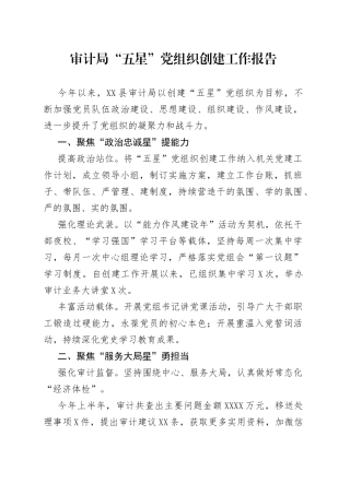 “五星”党组织创建工作报告