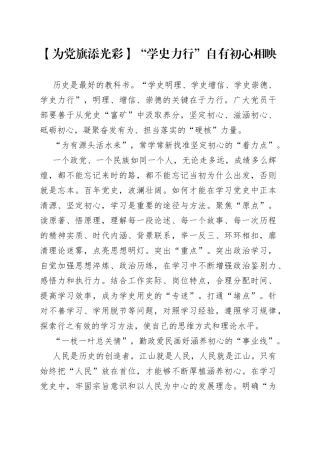 “学史力行”研讨发言心得体会