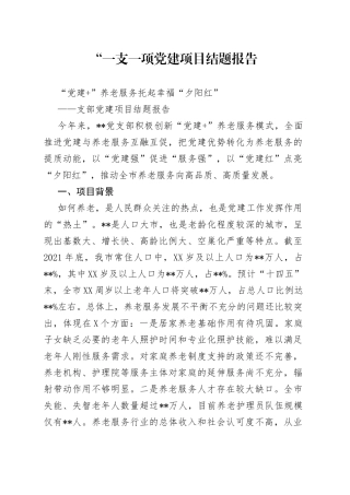“一支一项党建项目结题报告