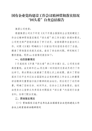 【自查报告7】国有企业党的建设工作会议精神贯彻落实情况“回头看”自查总结报告