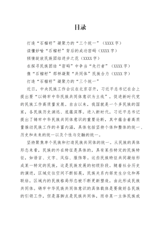 5篇学习中央民族工作会议精神心得体会研讨发言