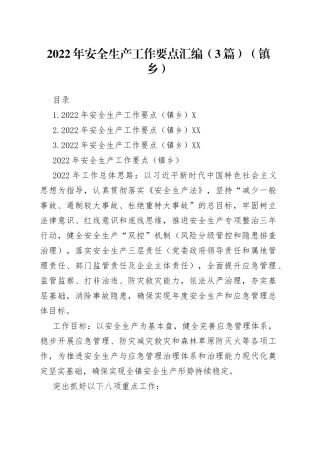 2022年安全生产工作要点汇编（3篇）（镇乡）