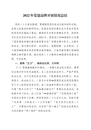 2022年党建品牌开展情况总结(1)