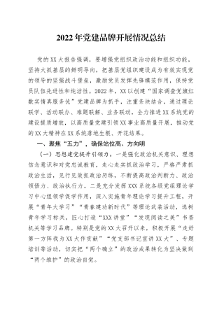 2022年党建品牌开展情况总结