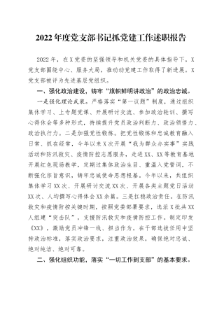 2022年度党支部书记抓党建工作述职报告