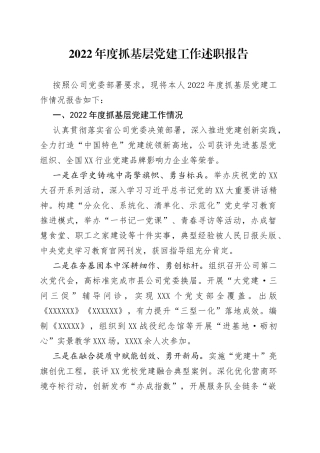 2022年度抓基层党建工作述职报告