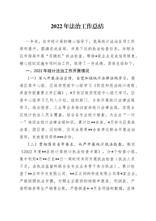 2022年法治工作总结（1）