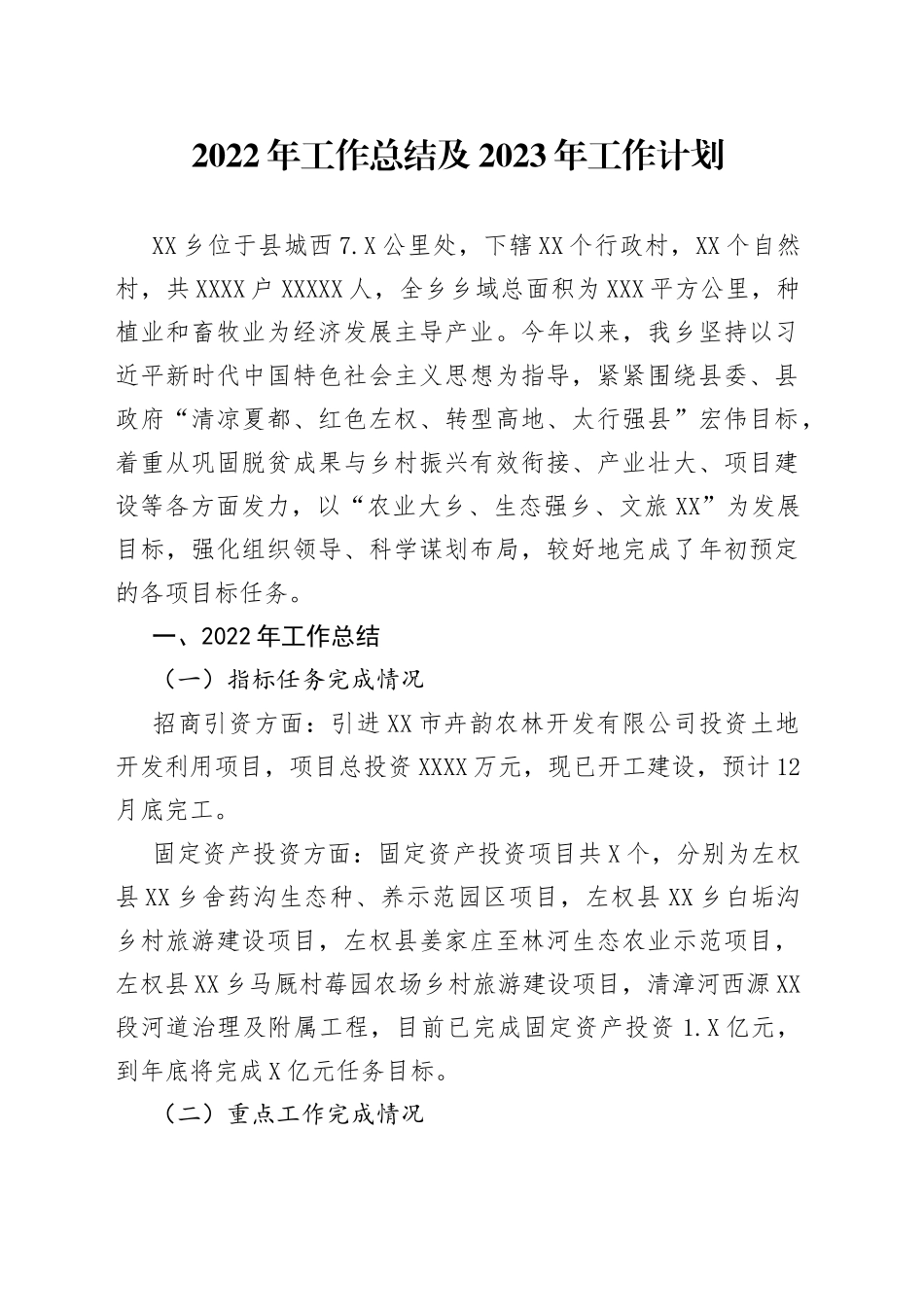 2022年工作总结及2023年工作计划（20221027）_第1页