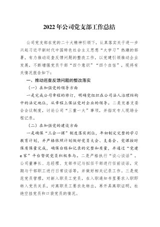 2022年公司党支部工作总结