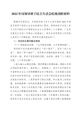2022年局领导班子民主生活会检视剖析材料