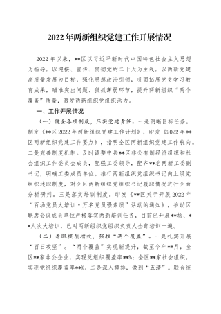2022年两新组织党建工作开展情况