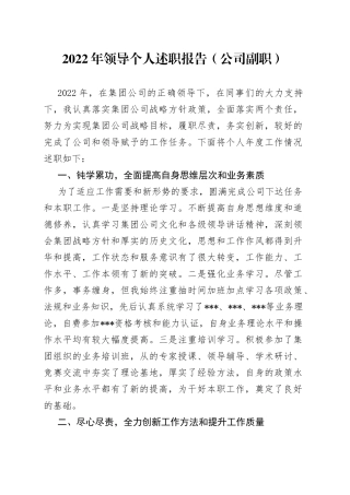 2022年领导个人述职报告（公司副职）