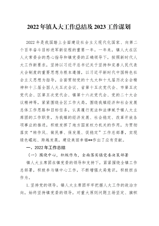 2022年镇人大工作总结及2023工作谋划