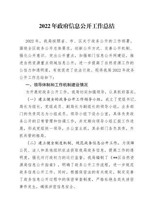 2022年政府信息公开工作总结