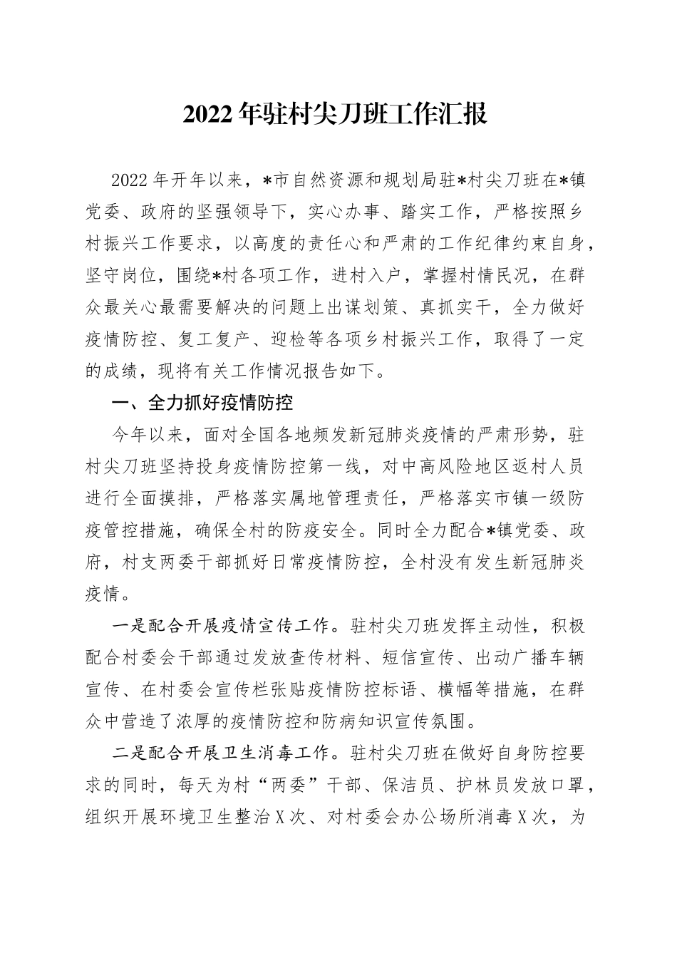 2022年驻村尖刀班工作汇报_第1页