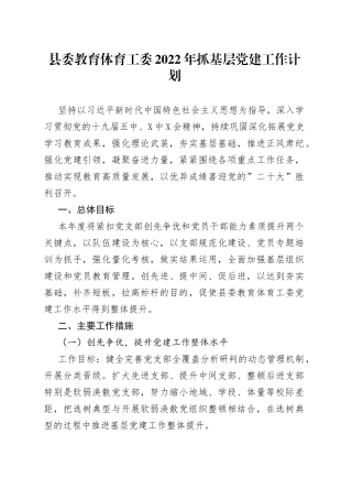2022年抓基层党建工作计划工作要点