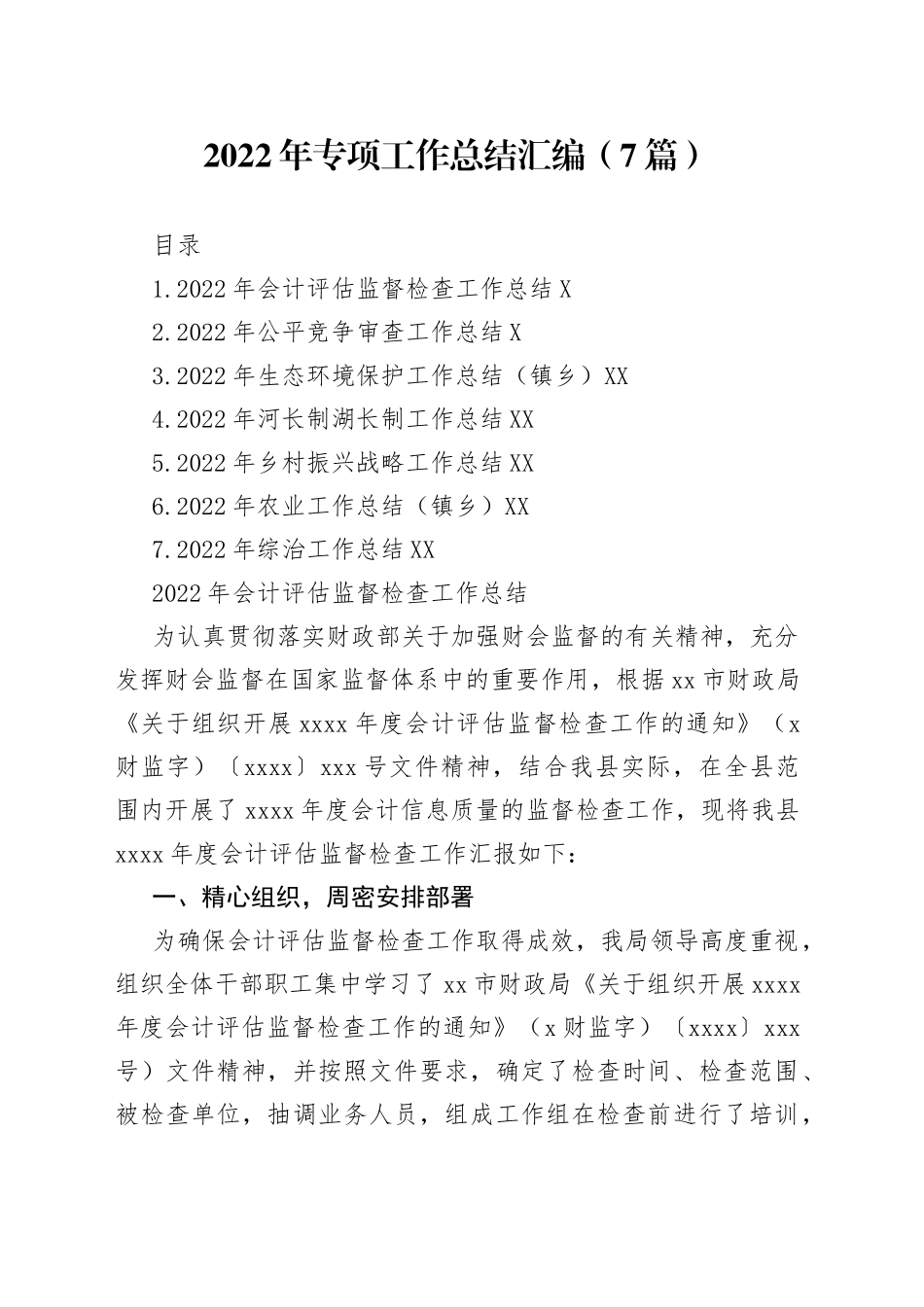 2022年专项工作总结汇编（7篇）_第1页