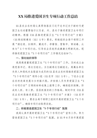 XX局推进爱国卫生专项行动工作总结