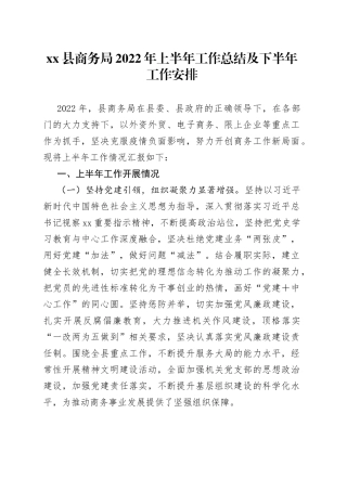 xx县商务局2022年上半年工作总结及下半年工作安排