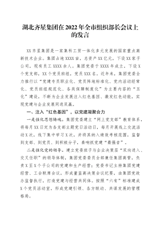 X集团在2022年全市组织部长会议上的发言