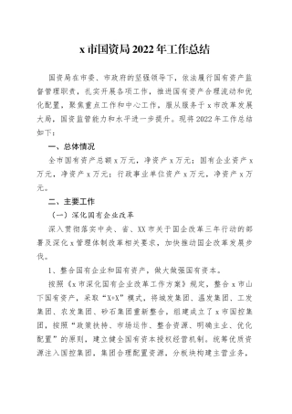 x市国资局2022年工作总结（1）