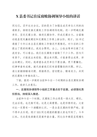 X县委书记在反腐败协调领导小组的讲话