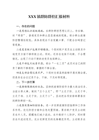 X镇群防群控汇报材料