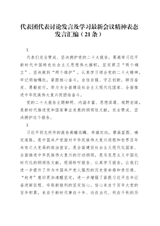代表团代表讨论发言及学习最新会议精神表态发言汇编（21条）