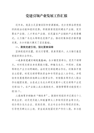 党建引领产业发展工作汇报