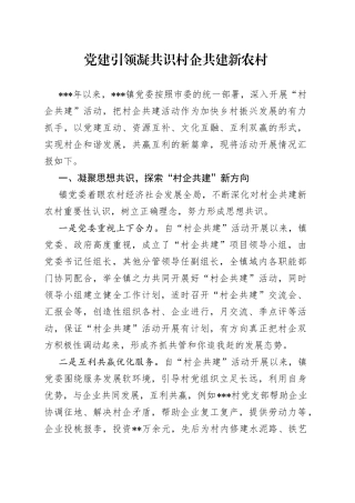 党建引领凝共识村企共建新农村