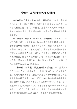 党建引领乡村振兴经验材料