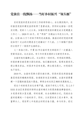 党旗在一线飘扬当好乡村振兴“领头雁”