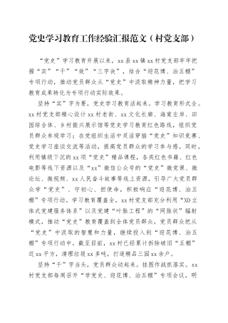 党史学习教育工作经验汇报范文（村党支部）