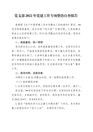 党支部2022年党建工作专项整治自查报告