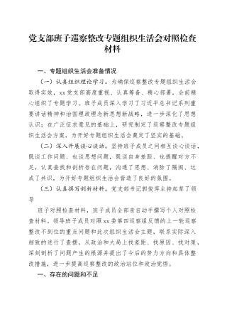 党支部班子巡察整改专题组织生活会对照检查材料