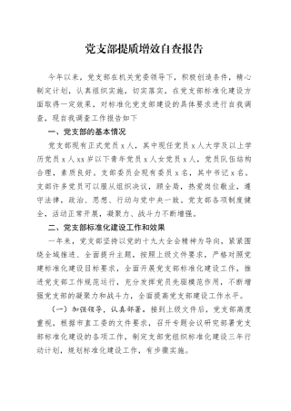 党支部提质增效自查报告