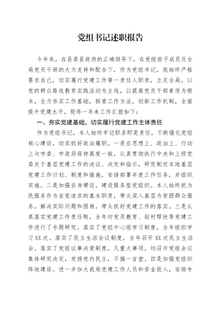 党组书记述职报告