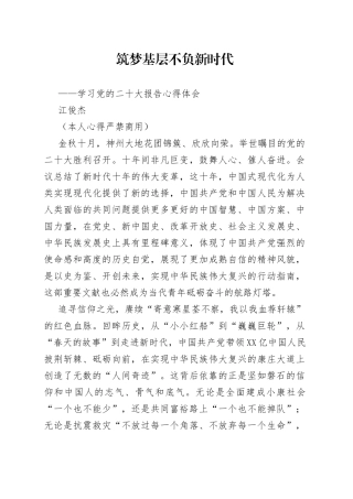 二十大报告心得：筑梦基层+不负新时代