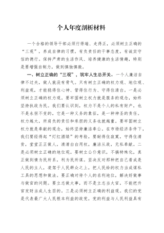 个人年度剖析材料
