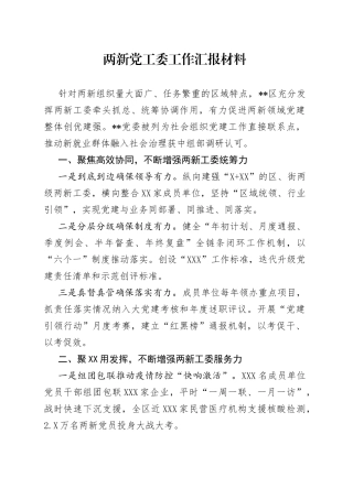 两新党工委工作汇报材料