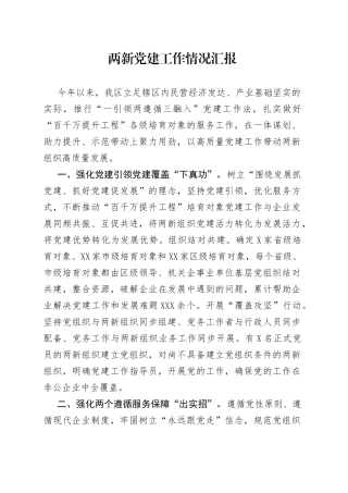 两新党建工作情况汇报（1）