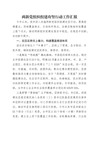 两新党组织组建攻坚行动工作汇报
