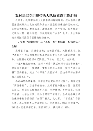 农村基层党组织带头人队伍建设工作汇报