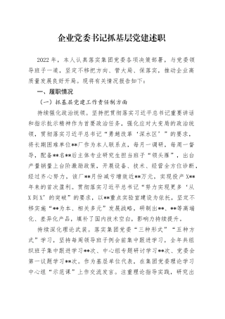 企业党委书记抓基层党建述职