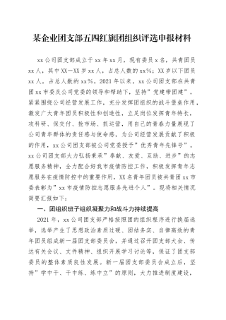 企业团支部五四红旗团组织评选申报材料